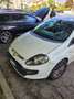 Fiat Punto Evo Punto III 2009 Evo5p 1.4 easypower 150th Gpl 77cv Bianco - thumbnail 1