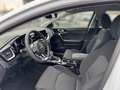 Kia Ceed SW / cee'd SW CEED_SW 1.5T 140 DCT7 VIS KOMF+ (NAV) Weiß - thumbnail 12