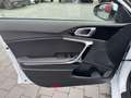 Kia Ceed SW / cee'd SW CEED_SW 1.5T 140 DCT7 VIS KOMF+ (NAV) Weiß - thumbnail 13