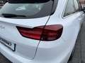 Kia Ceed SW / cee'd SW CEED_SW 1.5T 140 DCT7 VIS KOMF+ (NAV) Weiß - thumbnail 11