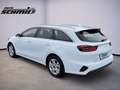 Kia Ceed SW / cee'd SW CEED_SW 1.5T 140 DCT7 VIS KOMF+ (NAV) Weiß - thumbnail 6