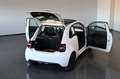 Fiat 500e Icon 42 kWh Skydome SHZ Navi LED Kamera 17 Weiß - thumbnail 6