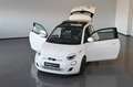 Fiat 500e Icon 42 kWh Skydome SHZ Navi LED Kamera 17 Weiß - thumbnail 5