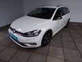 Volkswagen Golf GOLF VII VARIANT 1.0 TSI IQ.DRIVE BLIND SPOT+NAV Weiß - thumbnail 2