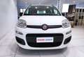 Fiat Panda Panda 1.2 Easy*45.000 KM*GARANTITA* Weiß - thumbnail 12