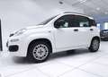 Fiat Panda Panda 1.2 Easy*45.000 KM*GARANTITA* Weiß - thumbnail 15