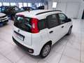 Fiat Panda Panda 1.2 Easy*45.000 KM*GARANTITA* Weiß - thumbnail 18