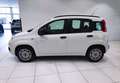 Fiat Panda Panda 1.2 Easy*45.000 KM*GARANTITA* Weiß - thumbnail 2