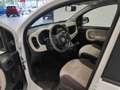 Fiat Panda Panda 1.2 Easy*45.000 KM*GARANTITA* Weiß - thumbnail 27
