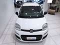 Fiat Panda Panda 1.2 Easy*45.000 KM*GARANTITA* Weiß - thumbnail 13