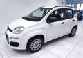 Fiat Panda Panda 1.2 Easy*45.000 KM*GARANTITA* Weiß - thumbnail 14