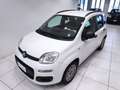 Fiat Panda Panda 1.2 Easy*45.000 KM*GARANTITA* Weiß - thumbnail 28
