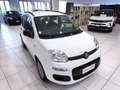 Fiat Panda Panda 1.2 Easy*45.000 KM*GARANTITA* Weiß - thumbnail 1