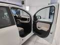 Fiat Panda Panda 1.2 Easy*45.000 KM*GARANTITA* Weiß - thumbnail 19