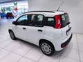 Fiat Panda Panda 1.2 Easy*45.000 KM*GARANTITA* Weiß - thumbnail 16