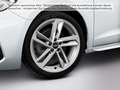 Audi A1 S line 35 TFSI 110(150) kW(PS) S tr Weiß - thumbnail 8