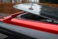 Econelo Sonstige Motion Mirage Mopid 100% elektrisch, Canta, Overde Rot - thumbnail 13