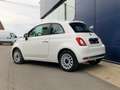 Fiat 500 Dolcevita 1.0 hybrid 70ch Wit - thumbnail 4