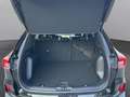 Ford Kuga ST-Line X 2,5L FHEV Schwarz - thumbnail 15
