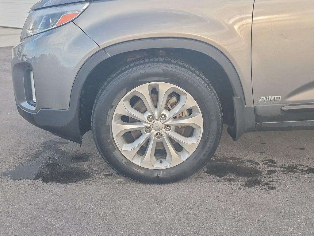Image 8