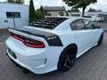 Dodge Charger 6.4 SRT/Brembo/Grail Sport-Aga/Led/490PS Blanco - thumbnail 13