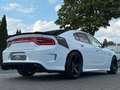 Dodge Charger 6.4 SRT/Brembo/Grail Sport-Aga/Led/490PS Blanco - thumbnail 17