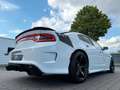 Dodge Charger 6.4 SRT/Brembo/Grail Sport-Aga/Led/490PS Blanco - thumbnail 10