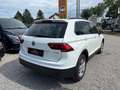 Volkswagen Tiguan Comfortline **NAVI**KLIMA**PDC**LED** Bianco - thumbnail 9