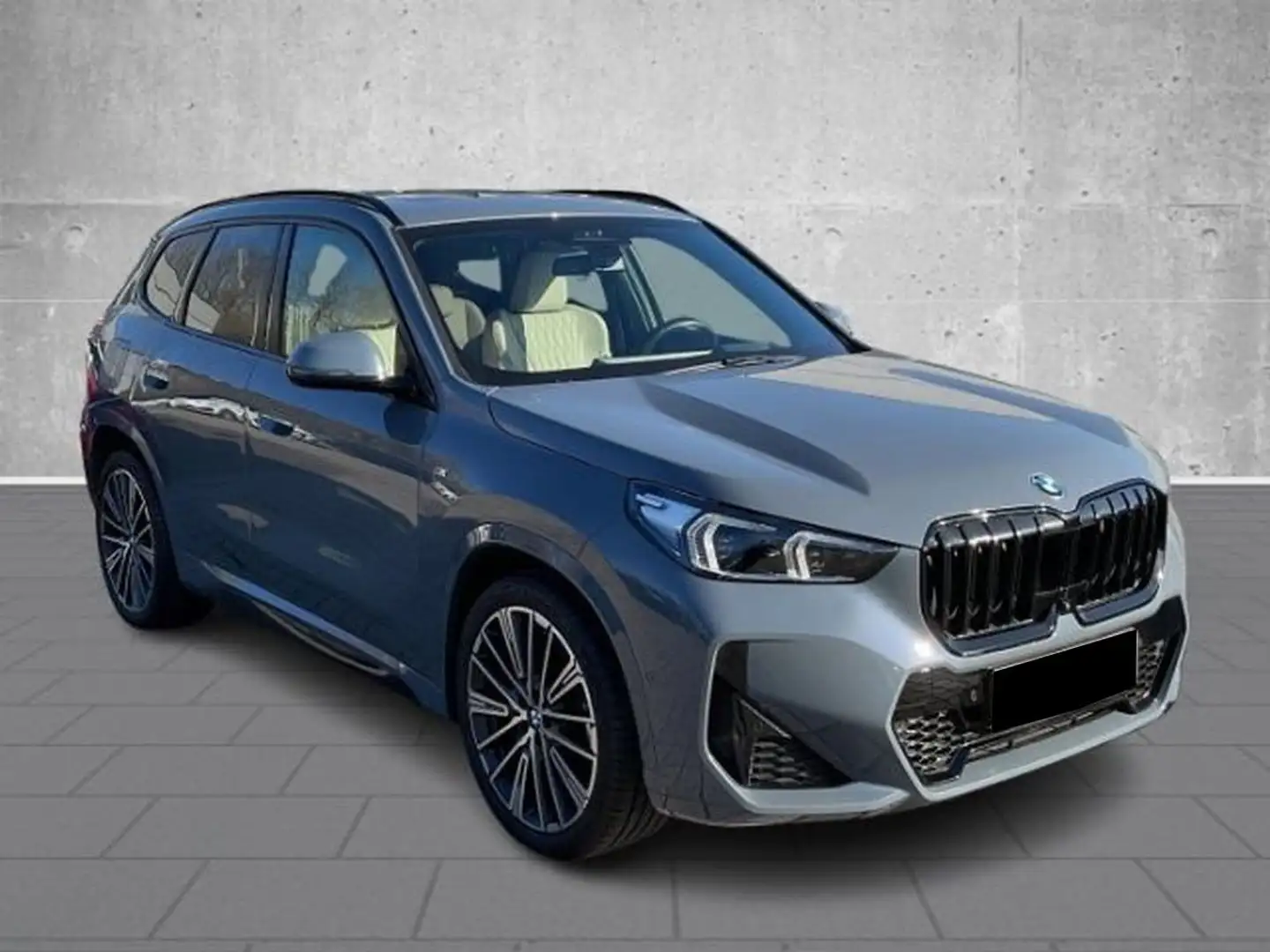 BMW X1 23i xDrive M Sport Grau - 1