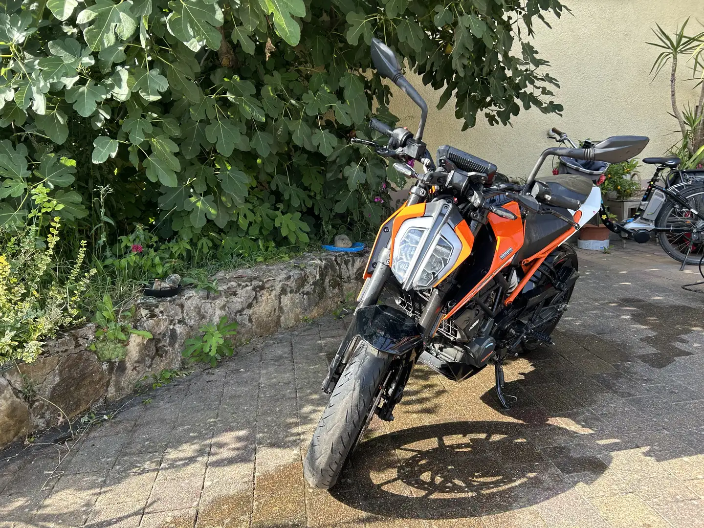 KTM 125 Duke Orange - 2