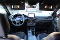 Ford Kuga Kuga 1.5 ecoblue ST-Line X 2wd 120cv auto Grau - thumbnail 9