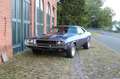 Dodge Challenger R/T Special Edition Lila - thumbnail 14