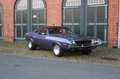 Dodge Challenger R/T Special Edition Fioletowy - thumbnail 15