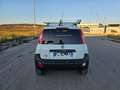 Fiat Panda 1.3 MJT 4x4 Pop Van 2 posti ALLESTITA OFFICINA Weiß - thumbnail 6