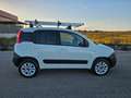 Fiat Panda 1.3 MJT 4x4 Pop Van 2 posti ALLESTITA OFFICINA Weiß - thumbnail 4