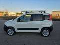 Fiat Panda 1.3 MJT 4x4 Pop Van 2 posti ALLESTITA OFFICINA Weiß - thumbnail 10