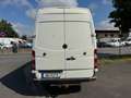 Mercedes-Benz Sprinter 315 CDI L3H2 LANG TÜV Blanc - thumbnail 5