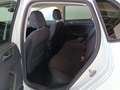 Volkswagen Polo Comfortline 1,0 TSI ab € 220 / Monat Weiß - thumbnail 5