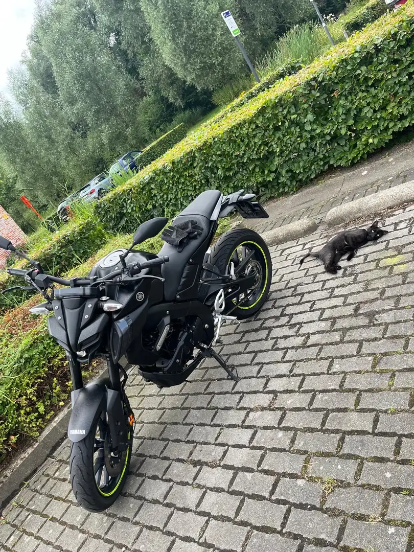 Yamaha MT-125 - 2