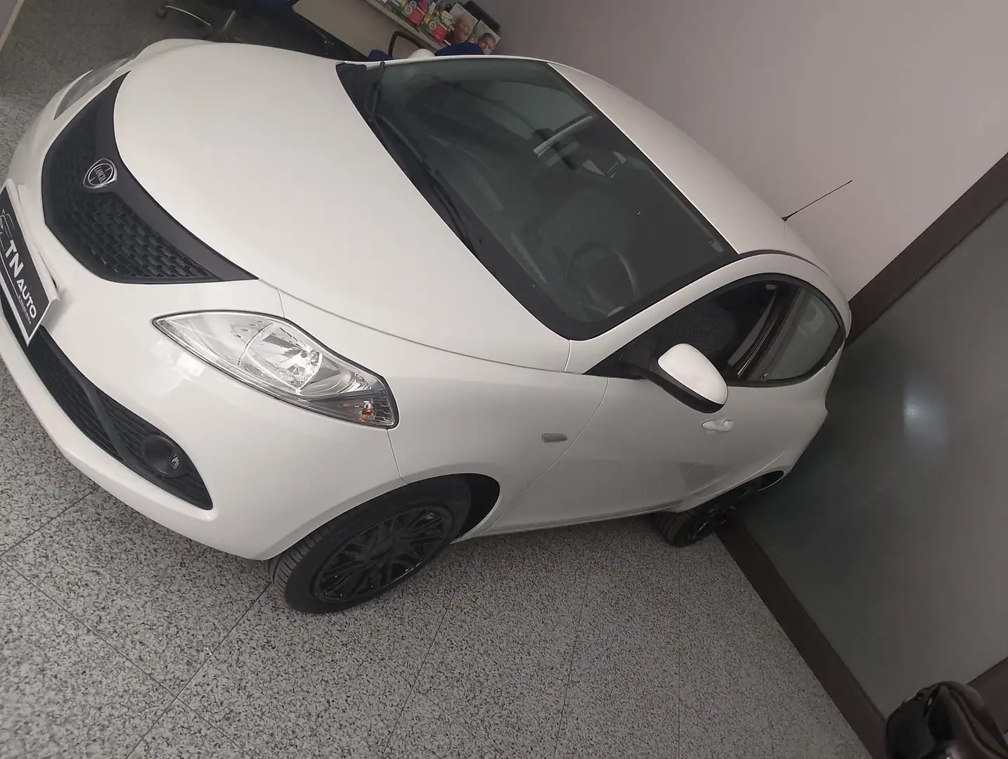 Lancia Ypsilon elefantino Bianco - 2