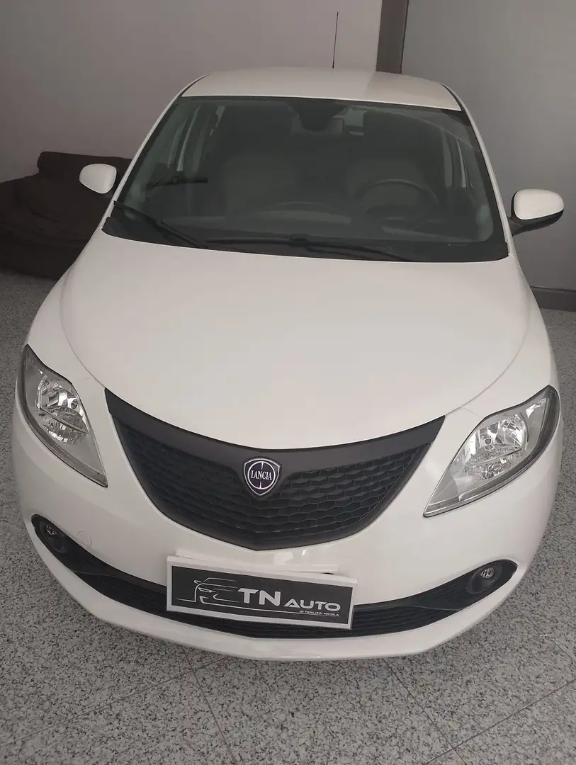 Lancia Ypsilon elefantino Bianco - 1