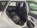 Kia Ceed SW / cee'd SW Ceed Sportswagon 1.6 CRDi Spirit Performance Weiß - thumbnail 12