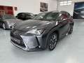 Lexus UX 250h Business City 2WD Gris - thumbnail 10