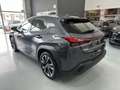 Lexus UX 250h Business City 2WD Gris - thumbnail 9