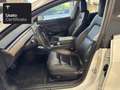 Tesla Model 3 Rear-Wheel Drive Bianco - thumbnail 13