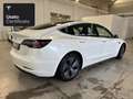 Tesla Model 3 Rear-Wheel Drive Bianco - thumbnail 7