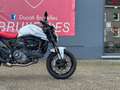 Ducati Monster 937 + | "A2-35kW ou Full" Blanco - thumbnail 1