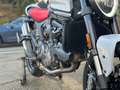 Ducati Monster 937 + | "A2-35kW ou Full" Blanco - thumbnail 12