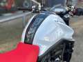 Ducati Monster 937 + | "A2-35kW ou Full" Blanco - thumbnail 13