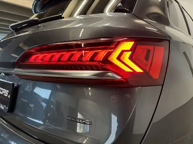 Audi Q7 60 TFSIe quattro *3xS-LINE*OPTIK*BOSE*AHK*LUFT* Ansicht 19